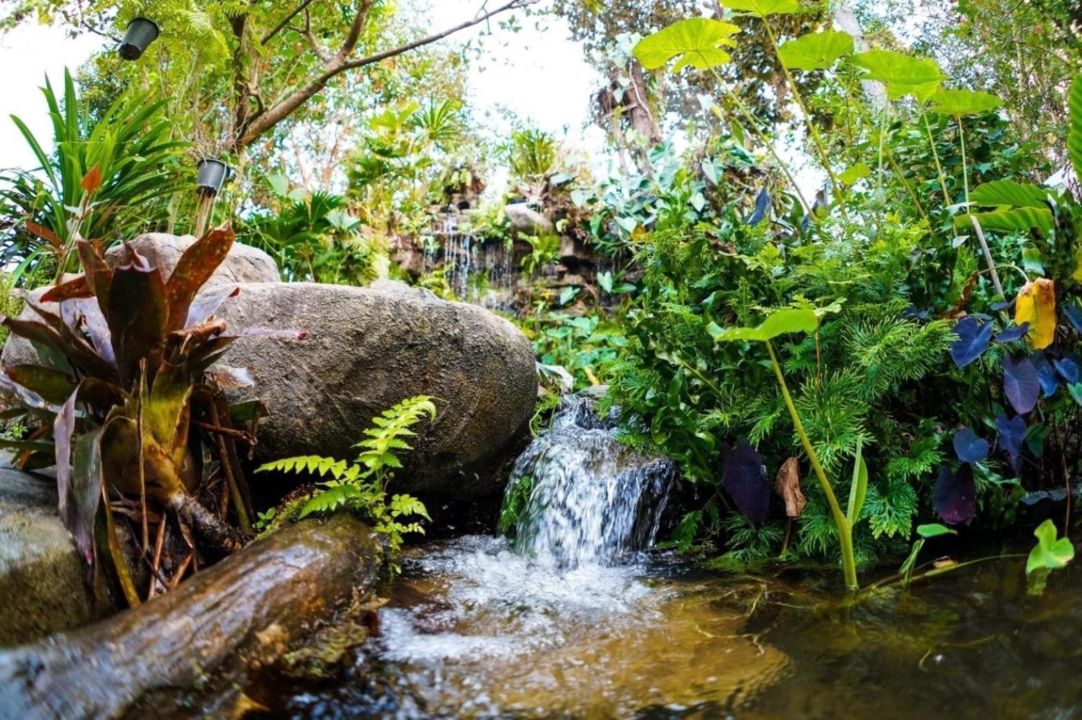 Baan Pingkan Wellness Resort San Kamphaeng Екстериор снимка